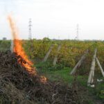 Prevenirea incendiilor la utilizarea focului deschis  la arderile de mirişti, vegetaţie uscată şi resturi vegetale
