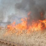 Măsuri de prevenire a incendiilor la arderea vegetaţiei uscate şi a resturilor vegetale